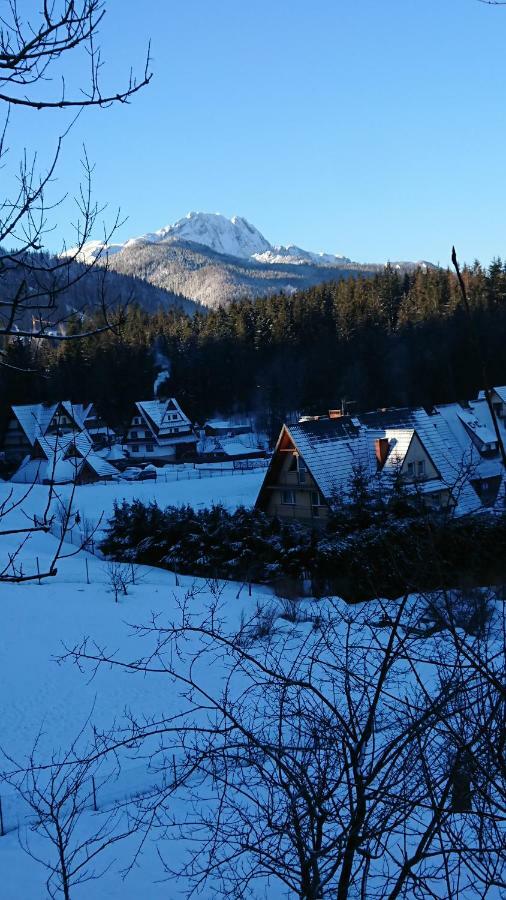 Hostel & Apartments U Florka 2 Zakopane Ngoại thất bức ảnh