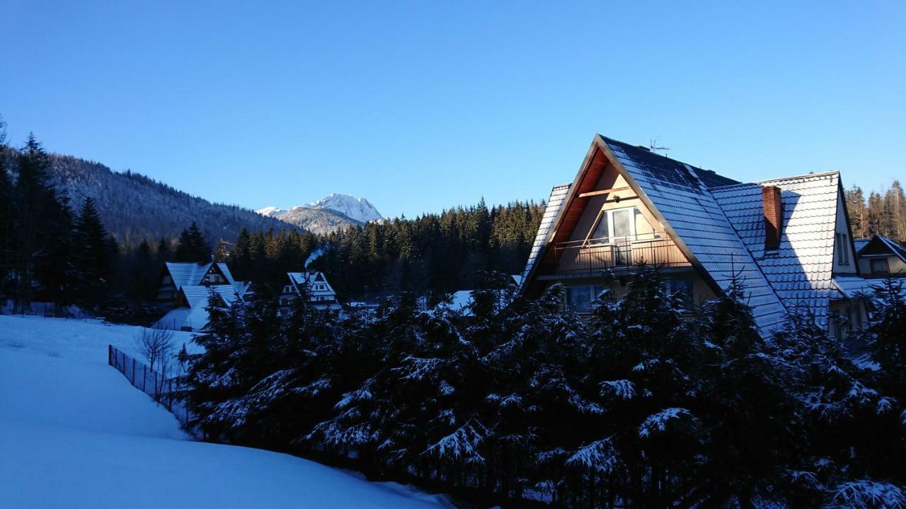 Hostel & Apartments U Florka 2 Zakopane Ngoại thất bức ảnh